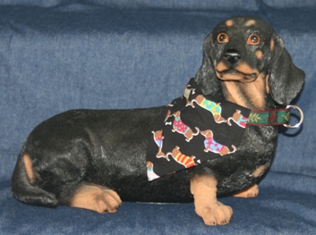 Dachshund modeling Dachshund sweaters bandana