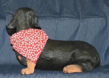 Dachshund modeling dog bones on dusty rose bandana