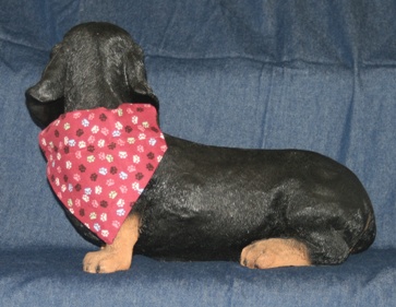 Dachshund modeling Paw Prints on Dusty Rose Bandana