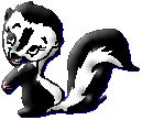Cute Little Skunk
