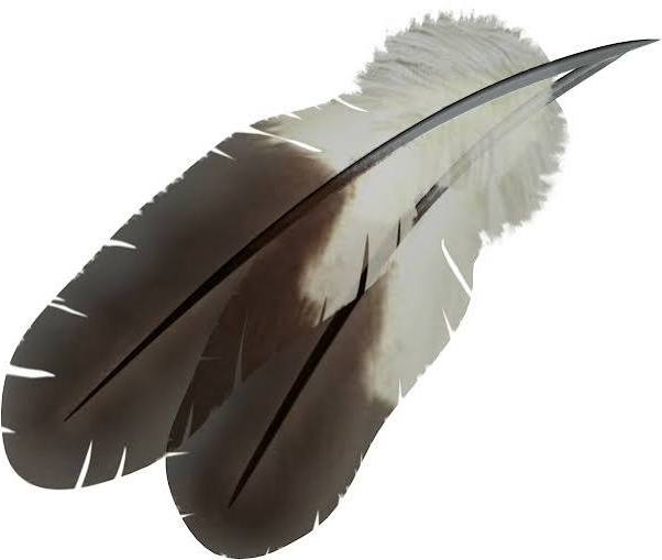 Eagle Feather