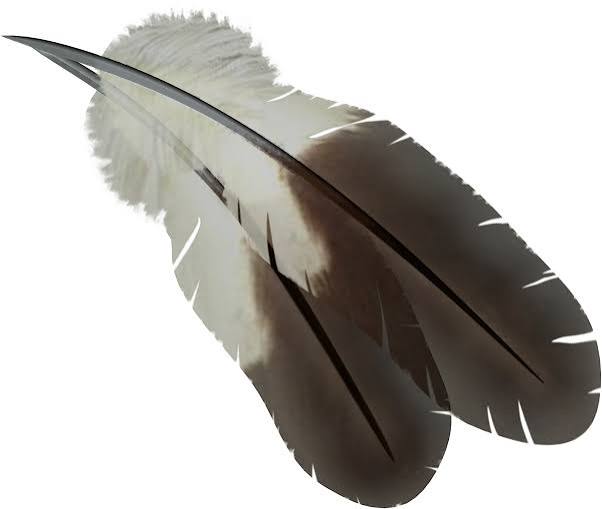 Eagle Feather