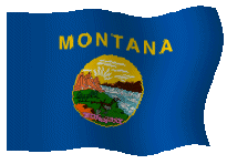Waving Montana State Flag